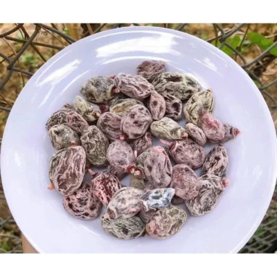 các món ăn vặt ngon